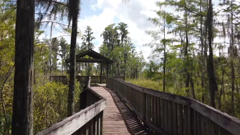 Tibet Butler Nature Preserve in Orlando, Florida